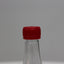 50ml Boston Tall PET Bottle - (Box of 700 units) - Packnet SA
