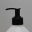 300ml Bell 28mm PET Bottle - (Pack of 100 units)